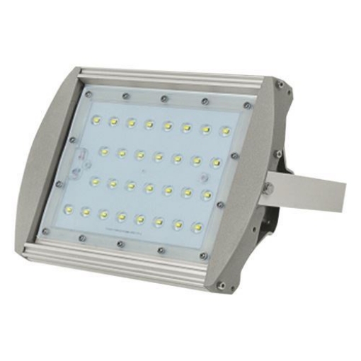 Picture of FIREFLY Led Floodlight EFL2030CW