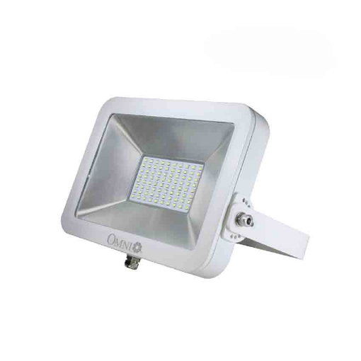 Picture of LED Lite Flood Lamp 100W