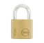 Picture of Standard Shackle YE1/30/115/1
