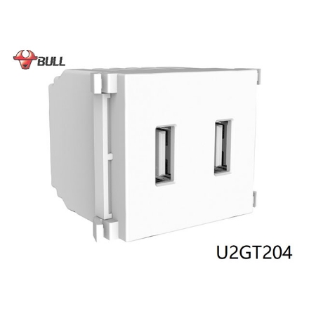 图片 Bull 2 Gang USB Outlet (White), U2GT204