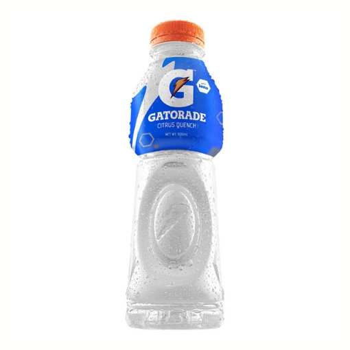 Picture of Gatorade Citrus Quench with Ion 500 ml, GAT34