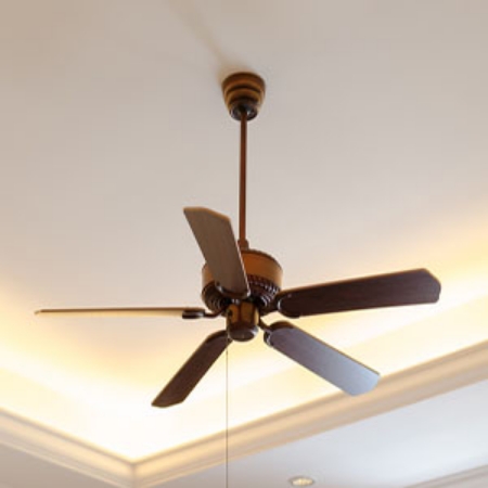 Picture for category Wall & Ceiling Fans