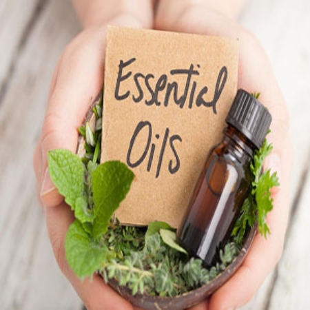 Picture for category Essential Oil