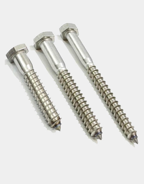 Picture of 304 Stainless Steel Hex. Lag Screw, STLS