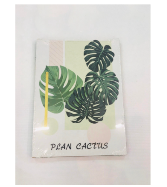 BWF18X24 Plant Cactus