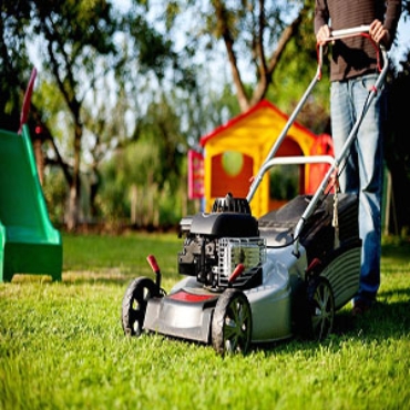 Picture for category Lawn & Gardens