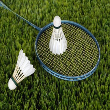 Picture for category Badminton