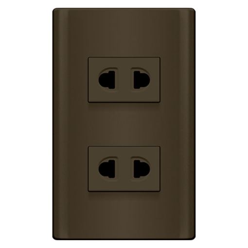 2 Gang Outlet