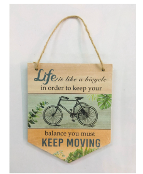 BWF2024-1 - Life is like bycicle