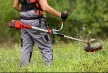 Picture for category Brush Cutter