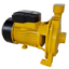 Picture of Deli Centrifugal Pump EDL-CPM130-E1