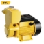 Picture of Deli Peripheral Pump EDL-QB60-E1