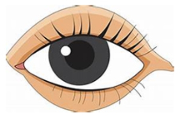 Picture for category Eye Health