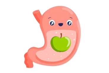 Picture for category Digestive Healthy
