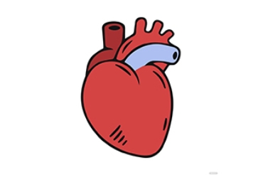 Picture for category Heart Health