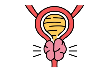 Picture for category Prostate Health